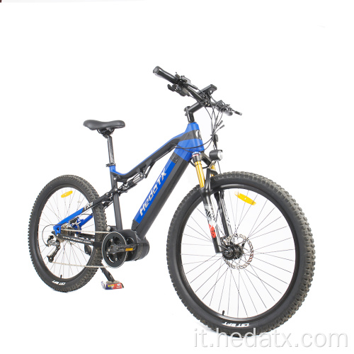 Mountain Electric Bike con gomme larghe